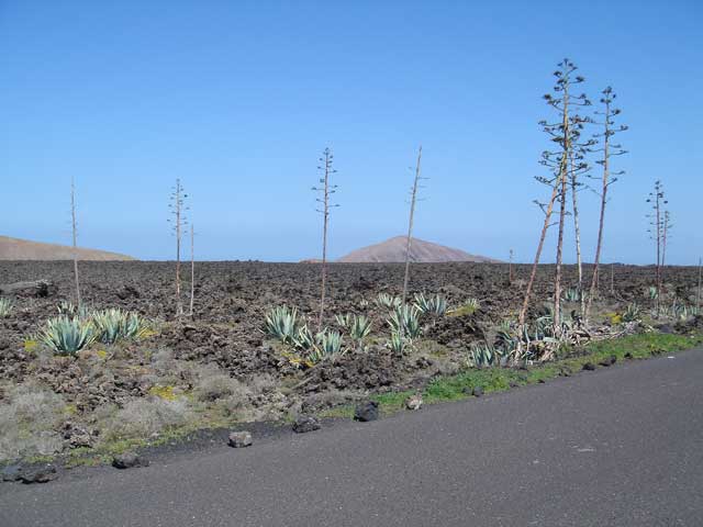 lanzarote06-12_g