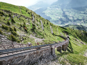 14148_20250614_084934_507698879_original 14148_20250614_084934_507698879_original