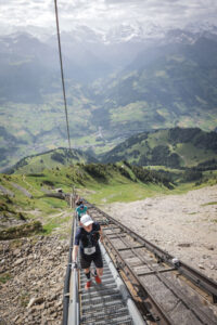 14148_20250614_093433_507698524_original 14148_20250614_093433_507698524_original